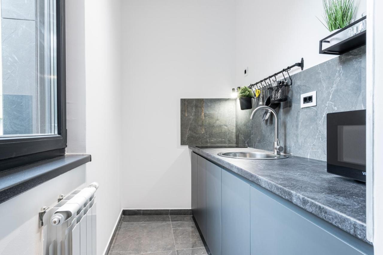 Vertigo Modern Studio-Free Private Parking-Fast Wi-Fi 노비사드 외부 사진